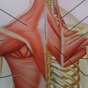 Meet your Posher, Leah